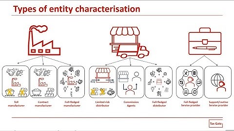 Transfer pricing | Entity caracterisation