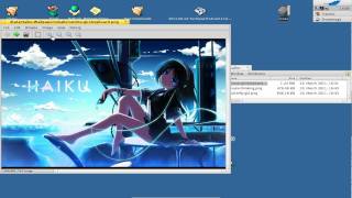Haiku Screencast: Haiku Alpha 3 New Features
