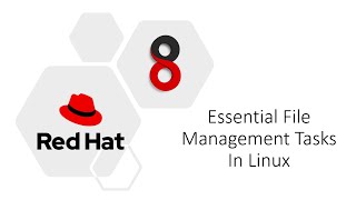 Learn Linux File Management In 10 Minutes