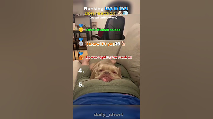 ranking top 5 funny fart dog reaction💨🐶 #pets #fart #shorts