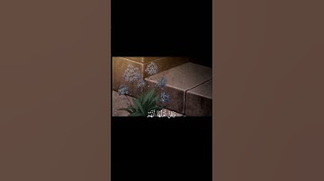 حَتَّى إِذَا أَخَذَتْ الأَرْضُ زُخْرُفَهَا وَازَّيَّنَتْ||تلاوة مريحة بصوت القارئ عبد الرحمن مسعد 💗🌿