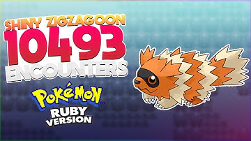 (Phase 1) Shiny Zigzagoon after 10493 ERs in Ruby (2 in 1 Day)