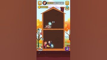 Home Pin Level 243 Gameplay Walkthrough