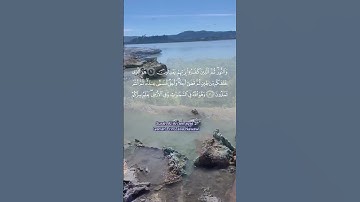 Surah Al-An‘ām (سورة الأنعام) is the 6th surah (chapter) of the Qur’an.