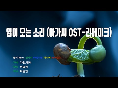 [은성 반주기] 임이오는소리(아가씨OST-리메이크) - 가인.민서