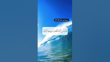 سورة هود الايه 48-49