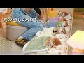 2026年1月28日/かわいい犬たちがあなたの眠りを助けてくれます（寝る前に見るのにぴったりの、愛らしい犬の睡眠ビデオのセレクション）睡眠補助ライブストリーム