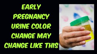Early Pregnancy Urine Color Change English