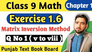 Full Exercise 1.6 Class 9th Maths | Part 2 | Matrix Inversion Method  | Naimat Maths Guide