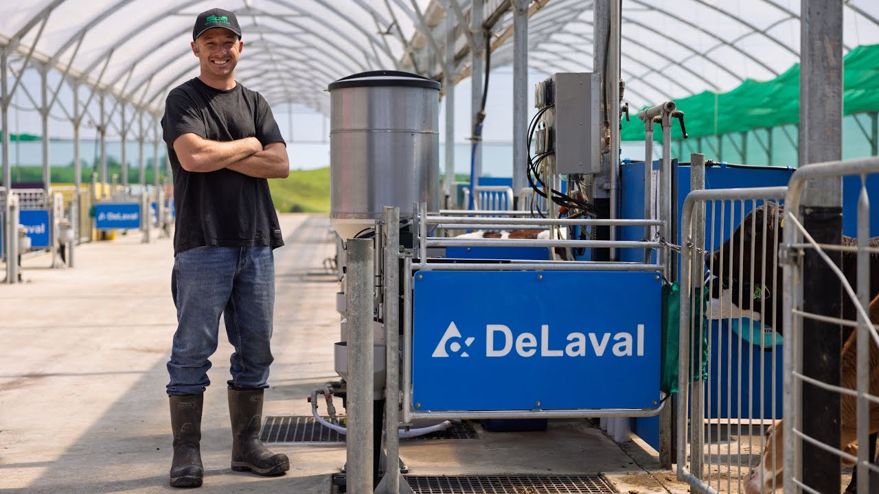DeLaval Calf Feeder on Huirimu Farm with Robbie Sherriff