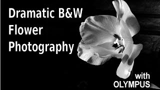 Flower Photography Tips for Beginners: Dramatic B&W Using Off Camera Flash ep.151 screenshot 4