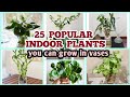 TOP 25 POPULAR INDOOR PLANTS YOU CAN GROW IN VASES #Houseplants Mp3 Song