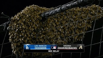 The FUNNIEST BLOOPERS of 2024 but they keep getting BETTER 🤣