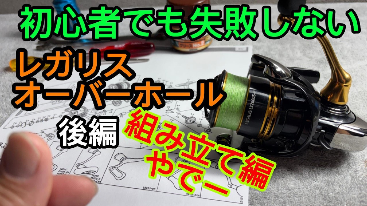 23 Legalis: Reassembly After Disassembly & Tips! Perfect for