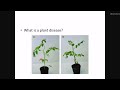 Crop Protection: Pest, Diseases and Weed Management - part 2