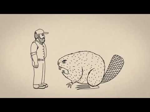 Duluth Trading TV Commercial: Fire Hose® Work Pants vs. A Giant Angry  Beaver's Brood :30s : r/CommercialsIHate