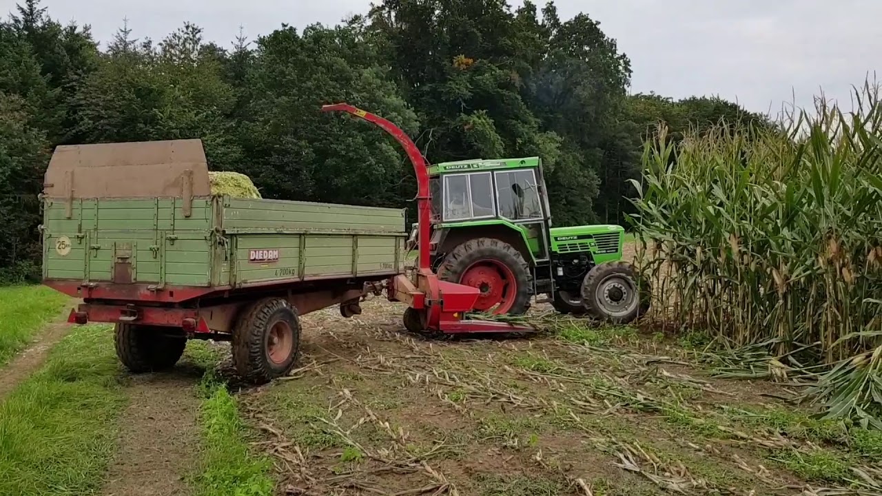 Maishäckseln 2017 mit Deutz 6806 Special und PZ MH 80