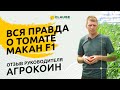 Вся правда о ТОМАТЕ МАКАН f1 от Фермера! 🍅