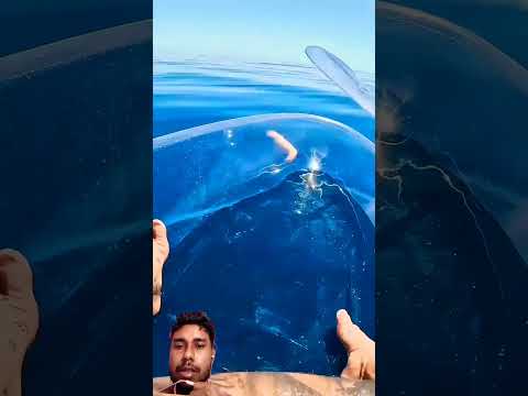 Transparent Kayak Hits Different In Deep Water..#shorts