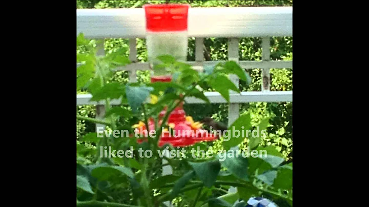 Robert Huber - Garden with passion!
