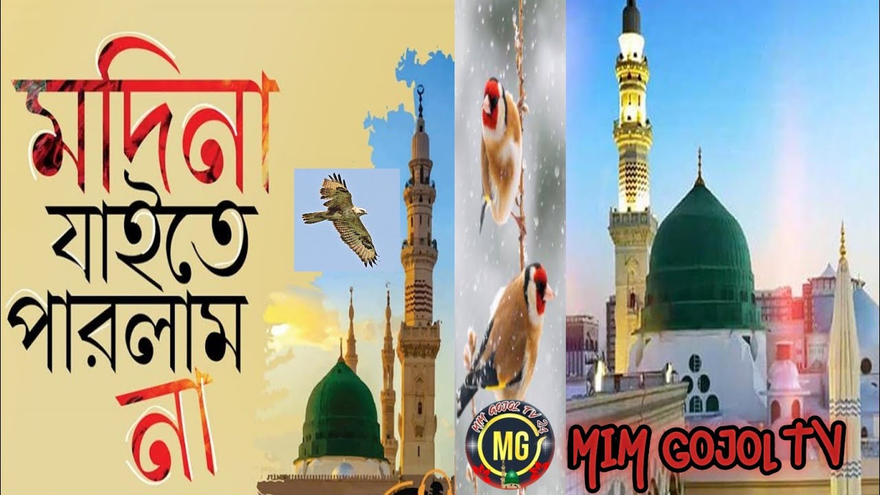 মদিনা যাইতে পারলাম না। MODINA JITE PARLAM NA.মদিনা পাগল করা গজল। MIM ...