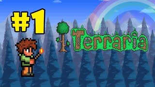 Хардкорные приключения в Terraria#1