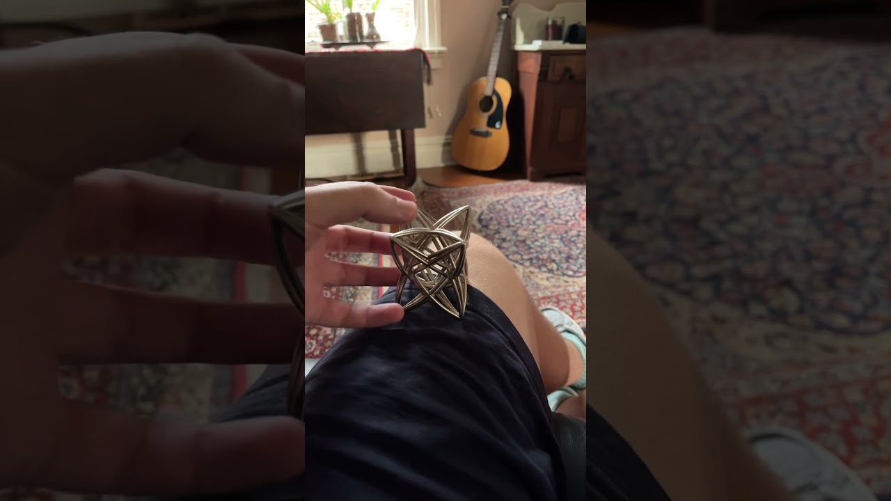 Fixed points of a holonomy group. 