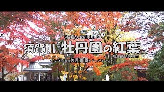 福島の四季より 須賀川 牡丹園の紅葉 Youtube 福島の四季より 須賀川 牡丹園の紅葉 Youtube