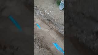 Azersuyn Satakarlql Devletin Pulunu Bele Yegis