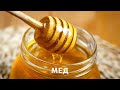 МЕД - лакомство или лекарство? Как выбрать «правильный» мед?