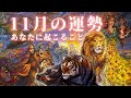【はじまりの時】あなたの人生がさらに拡大する11月⚡️意識してほしいこと・やると好転すること📕