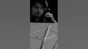 Thumbnail of Hasta la Raíz