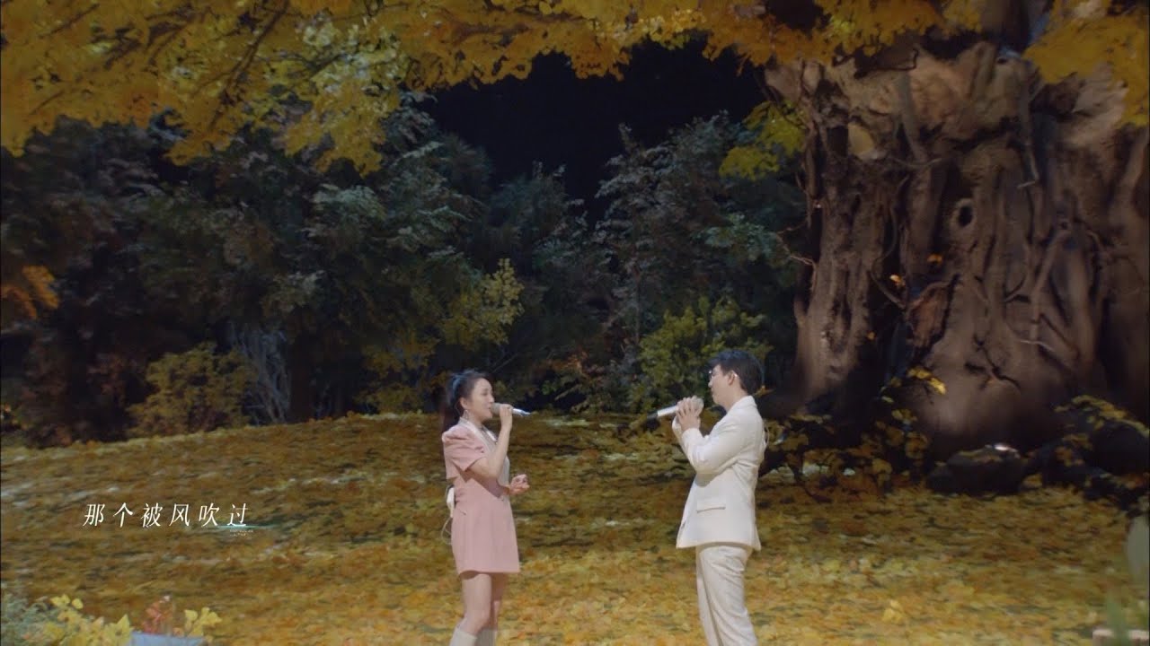 胡夏、金莎合唱《被风吹过的夏天》温柔又治愈，空气都甜了