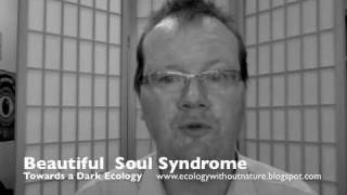 Beautiful Soul Syndrome 2