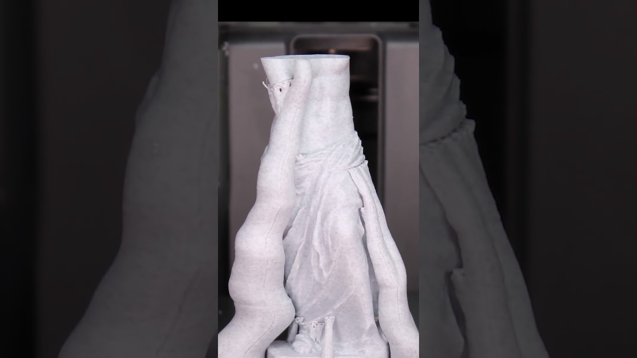 Venus De Milo Timelapse                             