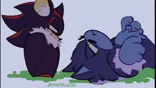 Sonadow The Werehog And The Bat Comic Dub The Photo Didnt Work Man