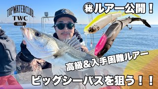【東京湾ボートシーバス】高級&入手困難ルアーで、ビッグシーバスを狙う!!鉄板㊙︎ルアー公開。コノシロパターン終盤編!