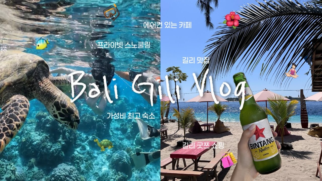 [발리 길리 Vlog] 길리에서의 완벽한 3박4일🐢🏝️ | 스노쿨링 맛집 카페 쇼핑 숙소🩵