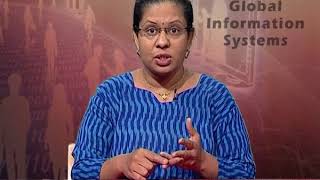 Managing Global Information Systems