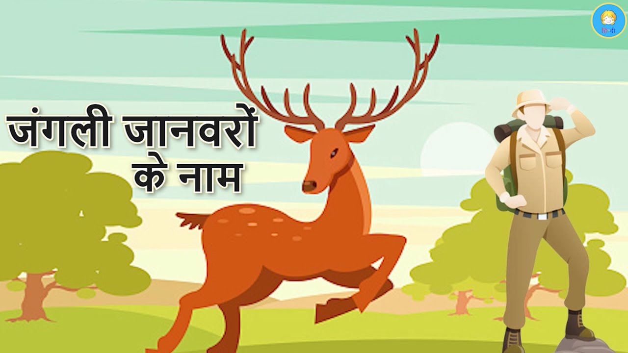 Wild Animals Wild Animals Name In Hindi Wild Animals Wild Animals Name In Hindi
