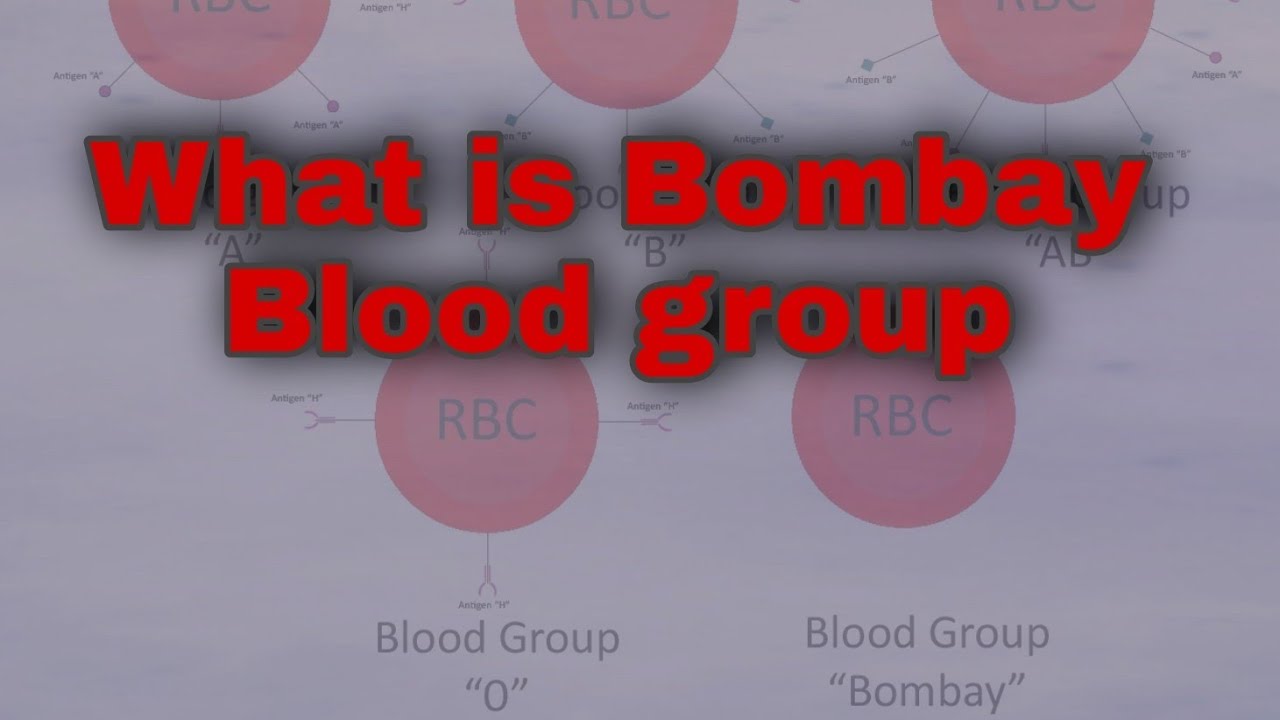 Bombay Blood Group Difference Between ABO And Bombay Blood Groop blood-types-what-are-they-and-what-do-they-mean-53-off