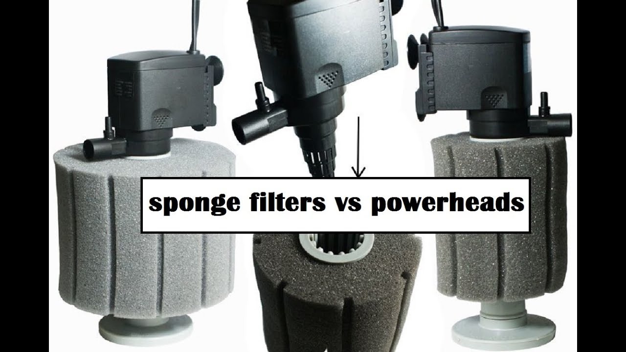 Your filters. Filter Sponge Comparison. O2 Filter. Filter Sponge compare. Totem mani 2 Filter.