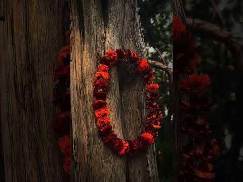 سعدي البياتي موال مشتاق ياهل اسمج من بدر