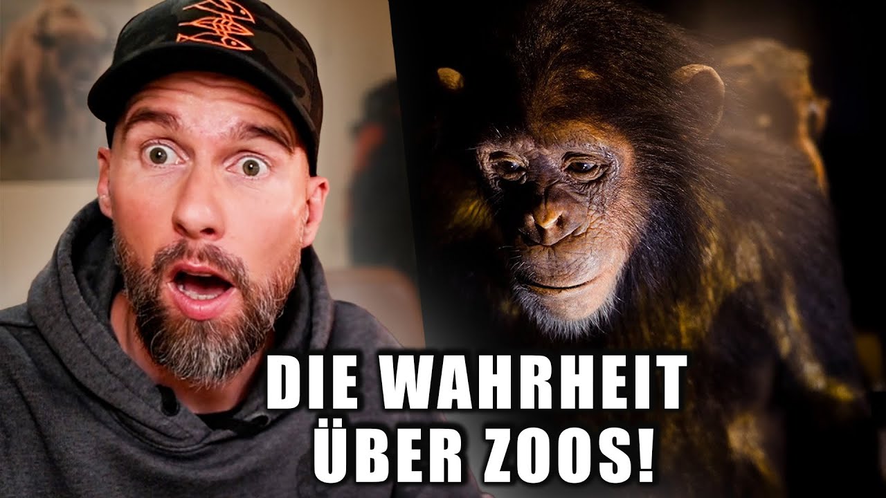 Die ganze Wahrheit über Zoos | Robert Marc Lehmann reagiert