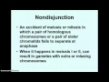 Meiosis and Chromosomal Variations Quiz
