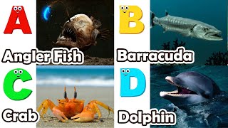 ABC Sea Animals song | Learn Alphabets | English and Animals for Kids | Alphabets Kids Song