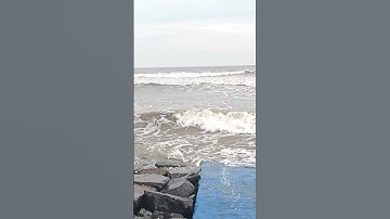 Thumbnail of Mayel Jimenez - El Regalo (Clip Oficial) with Sea #MayelJimenez #elregalo #nature #travel #digha