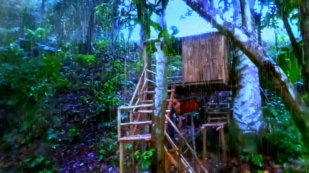 camping hujan deras membuat rumah pohon yang aman dari binatang buas  tidur pun nyenak 