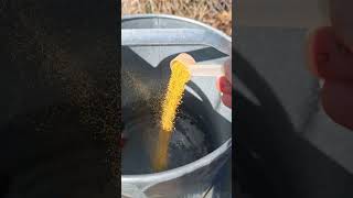 Durvet Vitamins and Electrolytes for Chickens
