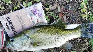 俺の釣り　イントルーダーバトル